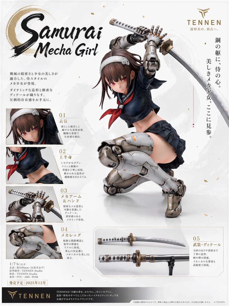 Samurai Mecha Girl Figure Poster