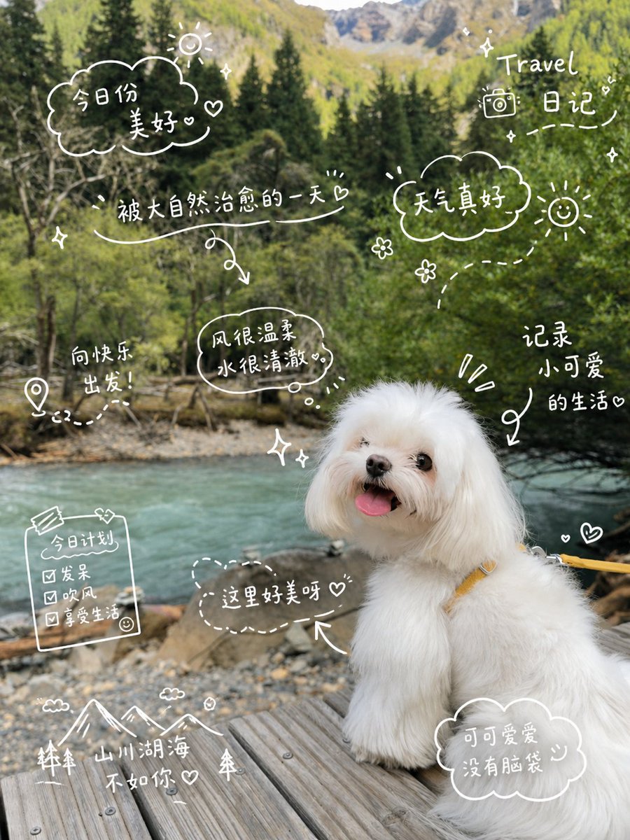 Dog hand-drawn realistic outdoor mountain cute